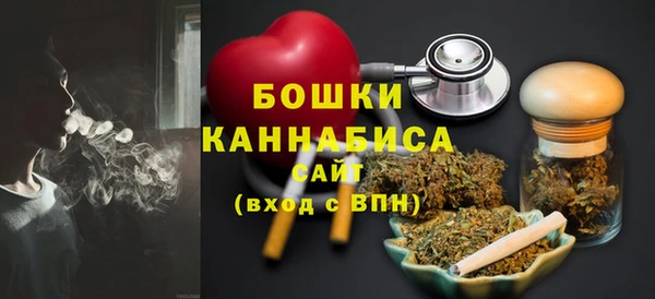 хмурый Верея