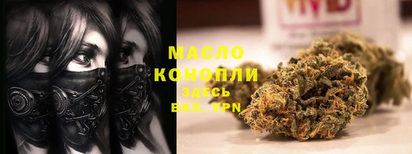 мдпв Верхний Тагил