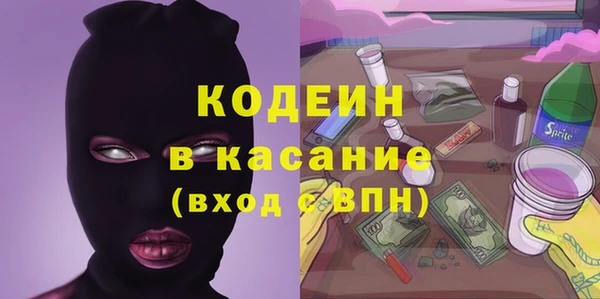хмурый Верея