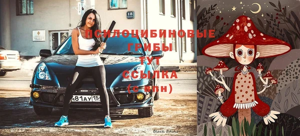 хмурый Верея