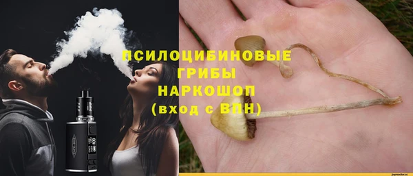 хмурый Верея