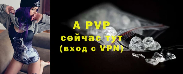хмурый Верея