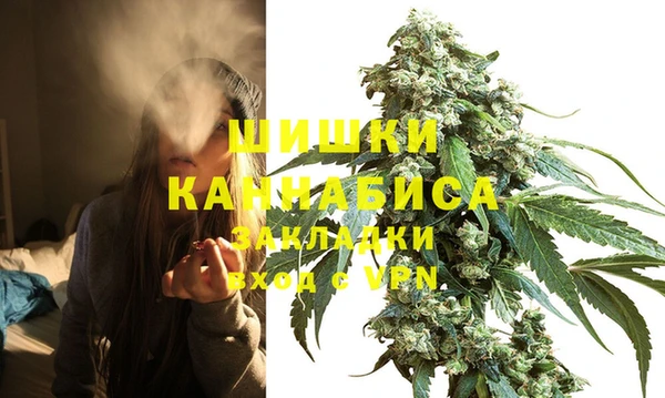 хмурый Верея