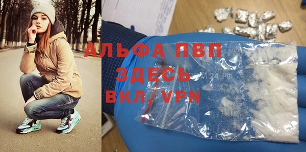 хмурый Верея
