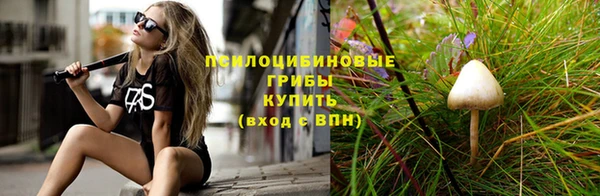 мдпв Верхний Тагил