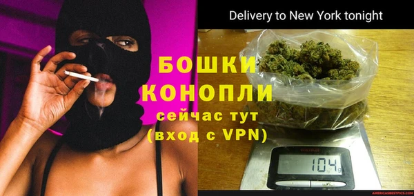 хмурый Верея