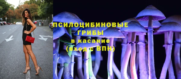 хмурый Верея