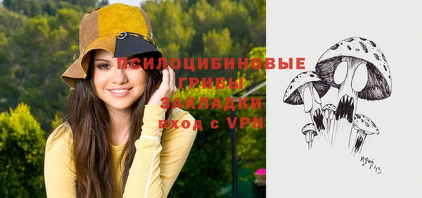 мдпв Верхний Тагил