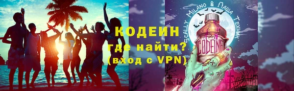 хмурый Верея