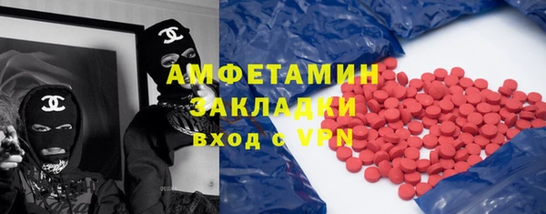 хмурый Верея